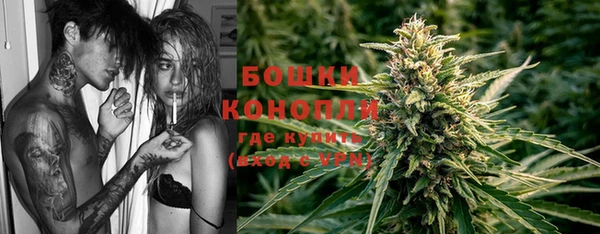 apvp Лиски