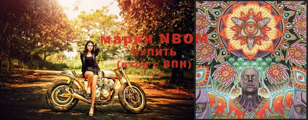 apvp Лиски