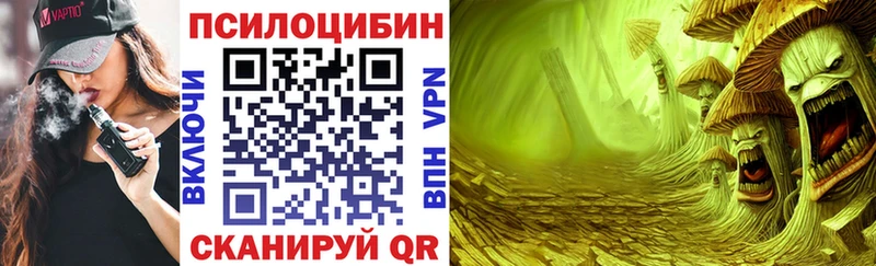 Галлюциногенные грибы GOLDEN TEACHER  Новое Девяткино 